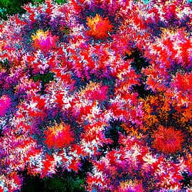 Абстракция 0153