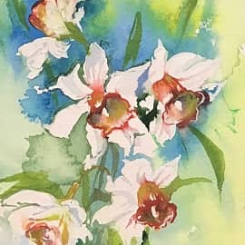 Первоцветы