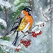 За окошком снегири