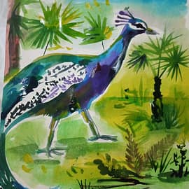 Павлин на прогулке