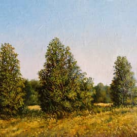 Среди полей. Август 11  Among the Fields. August 11