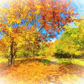 щедра на краски осень