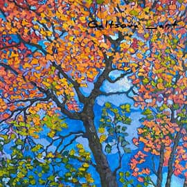 Клен расцветает осенью