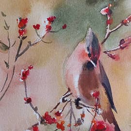 Свиристель