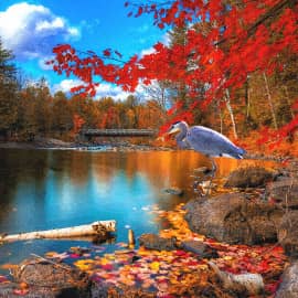 На рыбалке.