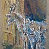 Кто пришёл?