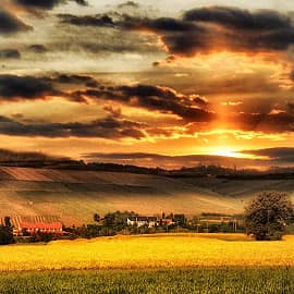 Вечерние поля.