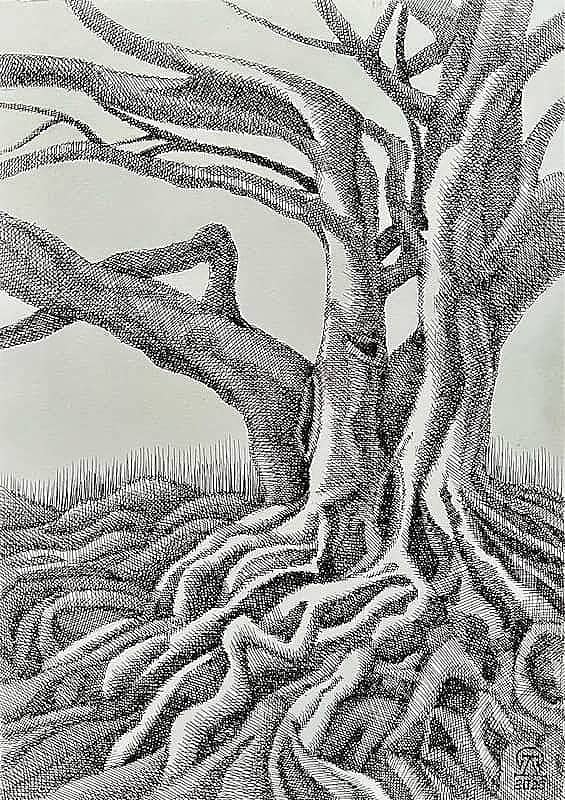 Корни. Скетч.