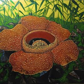 "Житель тропиков"