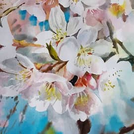 "Цветение деревьев в мае"