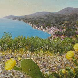 Когда кактусы цветут