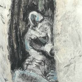 Застенчивый