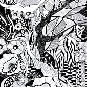 Мир между линий