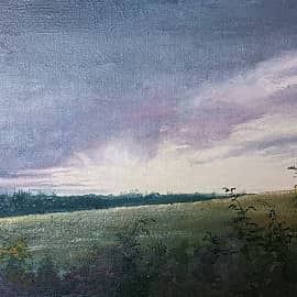 Вечерний луг