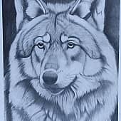 Спокойствие охотника