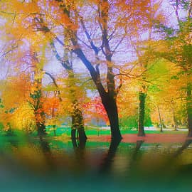 Солнечный день.