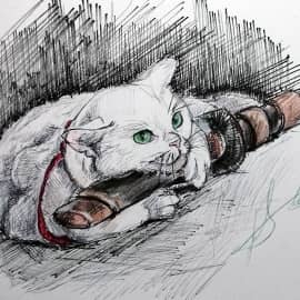 Кот Самурай