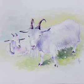 По кличке "Счастливый"