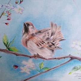 Ветренный воробей