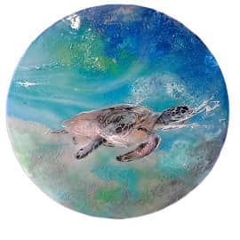 Черепашка по имени Наташка