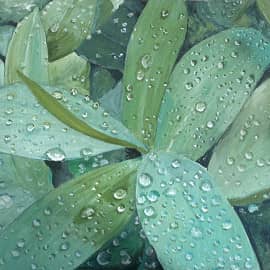 Утрення роса