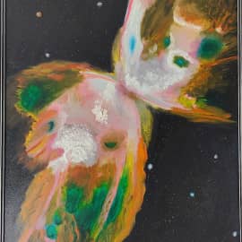 Космическая бабочка