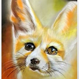 Фенёк лисица