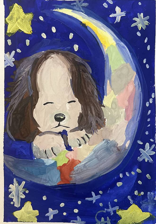 Лунный сон щенка