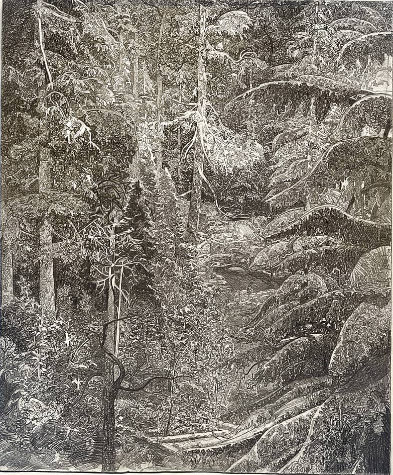 В ЕЛОВОМ ЛЕСУ