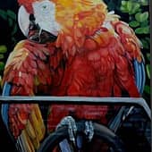 Такси вызывали?