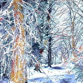 Замороженный лес.