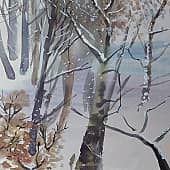 Январь во дворе