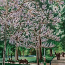 Цветение жакаранды в Люксембургском саду,  Париж