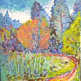 Камыши и немного леса