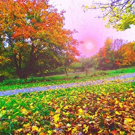 Осенний вечер.