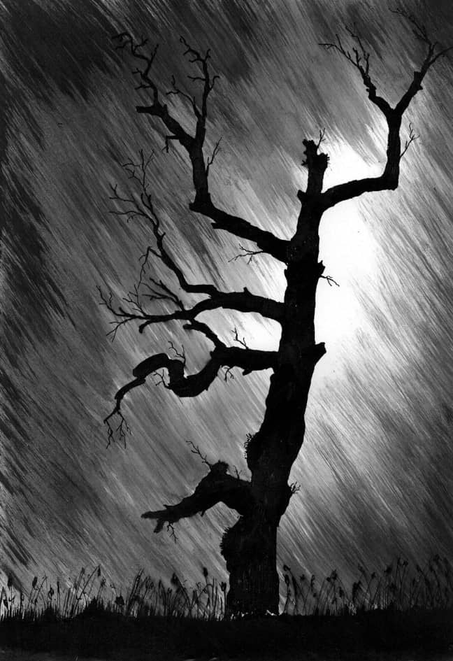 Старое дерево в грозу  Old Tree in a Thunderstorm, Бумага Тушь