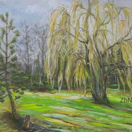 Ива. Весна. Пленэрная живопись ZhNataly