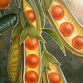 Лиза Рэй - Сад солнечных птиц 2 (3), художник Лиза Рэй