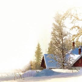 Белое безмолвие