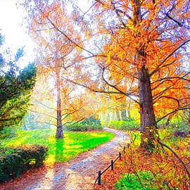 Осенняя дорожка.