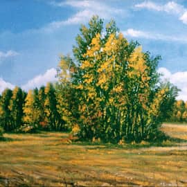Среди полей. Сентябрь 5   Among the Fields. September 5