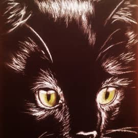 Сосредоточенность