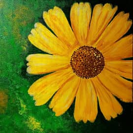 Любит - не любит