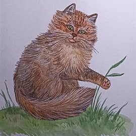 Маленький котенок