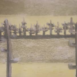 Кактусы 2-2004