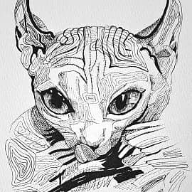 Красота неземная