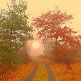 Дорога к солнцу.