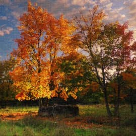 Вечерняя подсветка