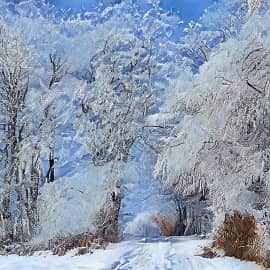 Снежная дорога.