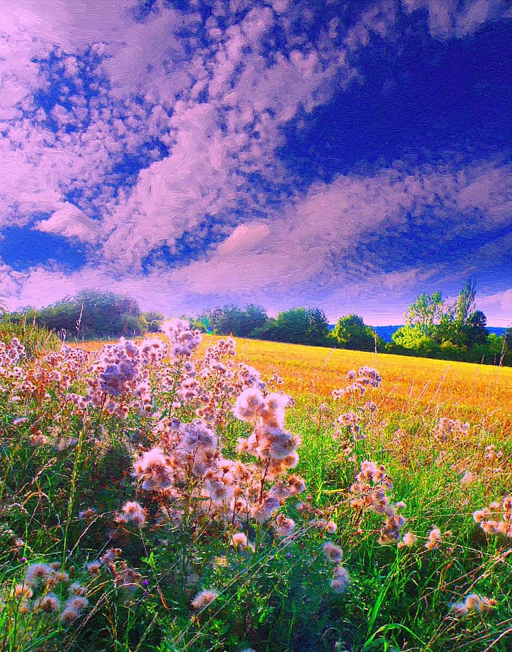 В солнечных лучах.